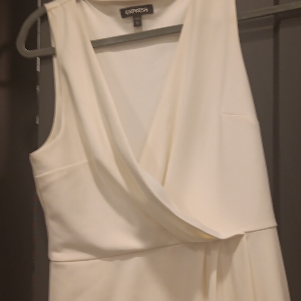 Express Dress - Picture 3 of 4